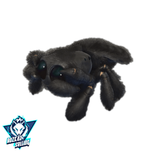 Male Cosmo ADULT ACTUAL BLACK COLOR Top Stat lvl 362