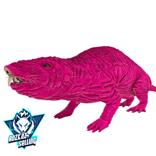 Male RollRat 957 Melee 1528 Weight Top Stats DeepPink