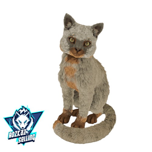 Female Cat ADULT Bag Version TOP STATS