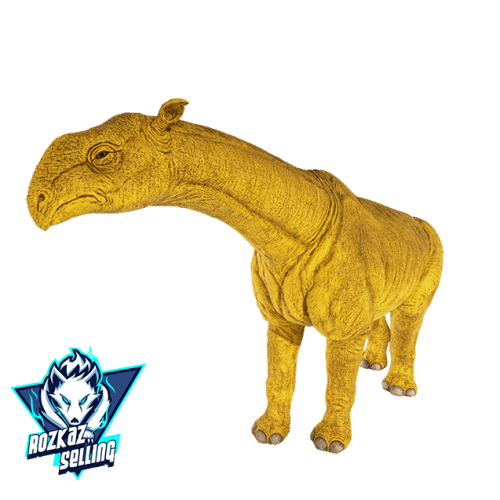 Female Paracer Top Stats GOLD