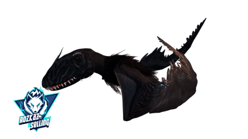 Male Aberrant Dimorph 1901 Melee Final Top Stat Actual Black