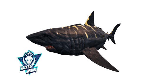 Male X-Megalodon 12k Hp 2849 Stam 680 Melee Top Stat Actual Black